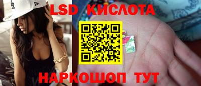 гидра Шебекино