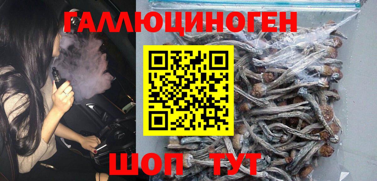 Городец  Псилоцибиновые грибы мицелий  Вход с VPN 