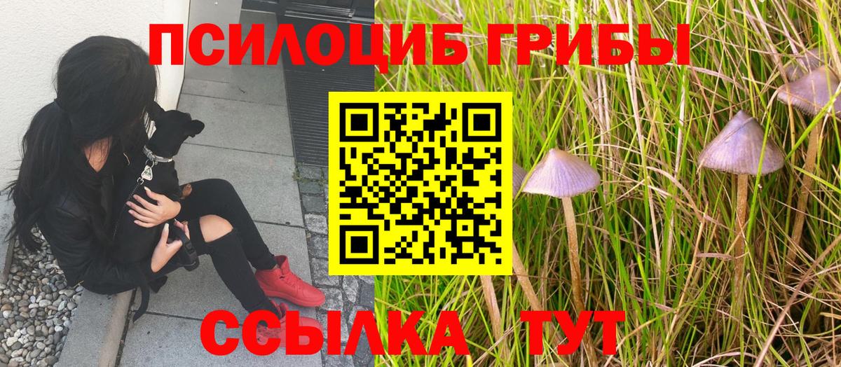 Псилоцибиновые грибы мухоморы Городец